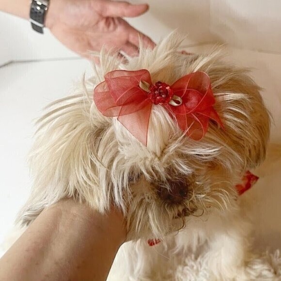 Small Dog Floral Party Wedding Lace Peter Pan Collar Tiered Tulle Dress with Bow - Picture 2 of 10